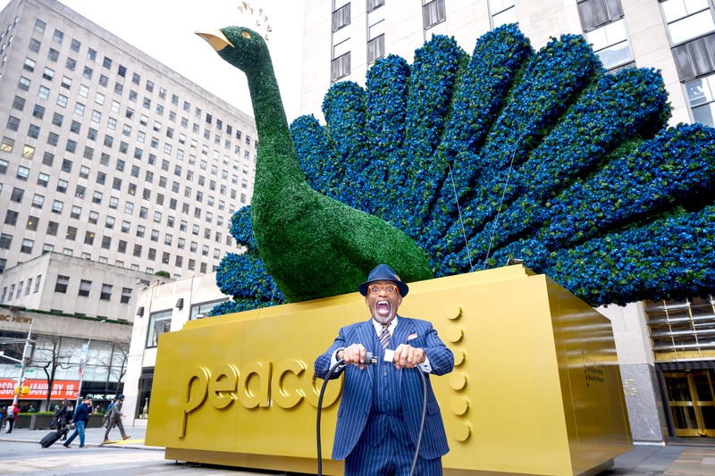 peacock